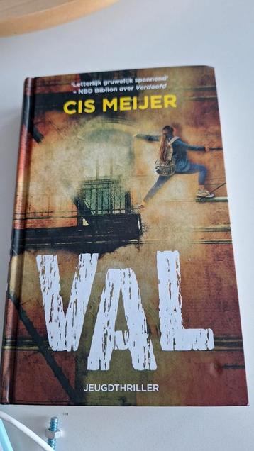 Cis Meijer - Val beschikbaar voor biedingen
