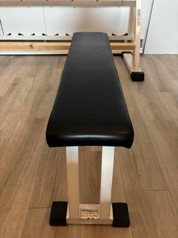 Technogym isotonic flat bench beschikbaar voor biedingen