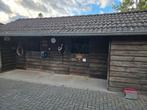 Weidegang met 2 stallen bij particulier aan huis, Dieren en Toebehoren, Stalling en Weidegang, Weidegang