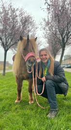 Pony huren, Toebehoren