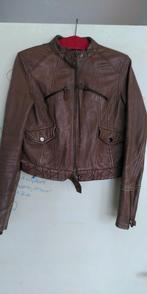 Leren jasje, bruin, kort, vintage, rits en 4 zakken, S, Ophalen of Verzenden, Gedragen, Maat 36 (S), Bruin
