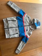 ZGAN Super mooi vest/hoodi van Vingino, Ophalen of Verzenden, Zo goed als nieuw, Jongen, Trui of Vest