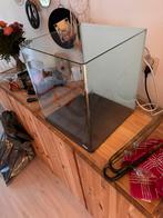 Dennerle Nano Cube 60 aquarium aquascape leeg, Dieren en Toebehoren, Vissen | Aquaria en Toebehoren, Ophalen, Zo goed als nieuw