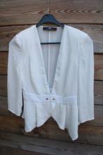 Tuniek offwhite elisabetta franchi mt 40 Vaste prijs AANBIED, Kleding | Dames, Maat 38/40 (M), Elisabetta Franchi, Wit, Ophalen of Verzenden