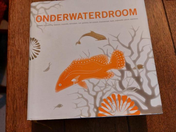 Design hotels: onderwaterdroom 2007+ cd: dromen waarmaken, Boeken, Reisgidsen, Zo goed als nieuw, Reisgids of -boek, Europa, Overige merken