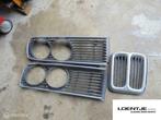 Grill met nieren bmw e12 518 520 525 528 etc, Auto-onderdelen, Carrosserie en Plaatwerk, Gebruikt, Ophalen of Verzenden, BMW, BMW