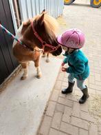 GEZOCHT: Een echte kinderpony | shetlander (ruin), Dieren en Toebehoren, Paarden, Gechipt, Minder dan 160 cm, Ruin, Niet van toepassing