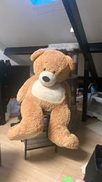 XXL teddy beer, Ophalen