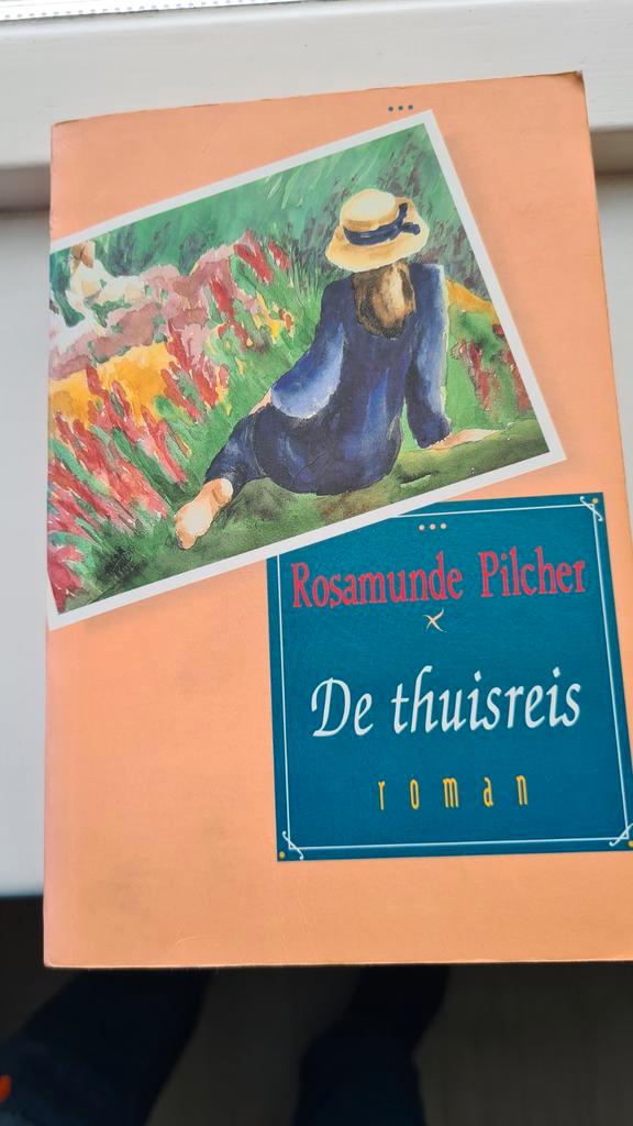 Rosamunde Pilcher - De Thuisreis, Boeken, Romans, Gelezen, Ophalen