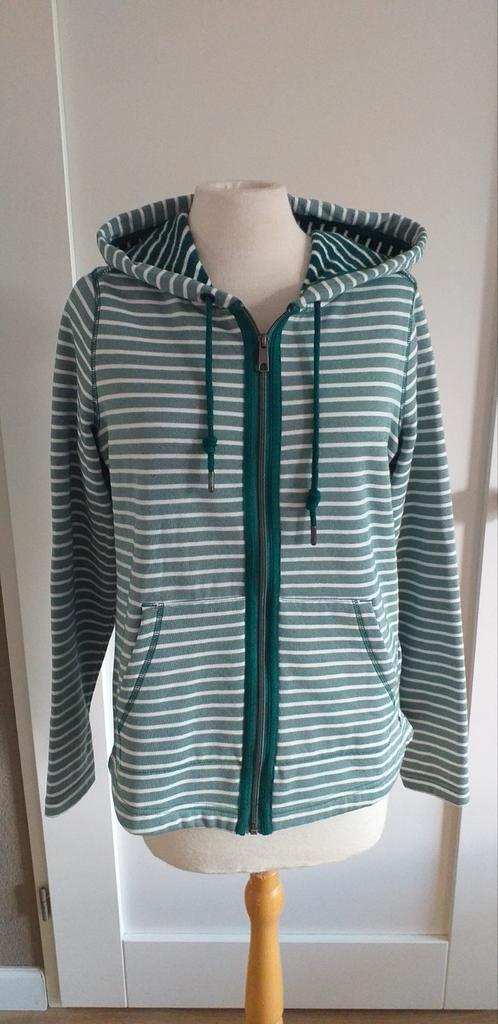 Nieuw!Cecil groen/wit gestreept vest NIEUW  maat XS, Kleding | Dames, Truien en Vesten, Nieuw, Maat 34 (XS) of kleiner, Groen