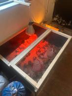 Hennen japanse jumbo kwartels te koop, Ophalen of Verzenden, Kippenhok of Kippenren