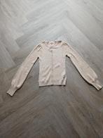 Vest Vingino, Meisje, Trui of Vest, Ophalen of Verzenden, Zo goed als nieuw