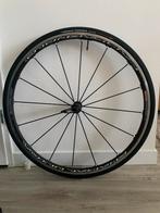 Campagnolo Shamal voorwiel + Vittoria Corsa Control band, Ophalen of Verzenden, Gebruikt, Racefiets, Wiel