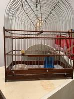 Twa Twa Kooien, Ophalen, Zo goed als nieuw, Hout, Vogelkooi