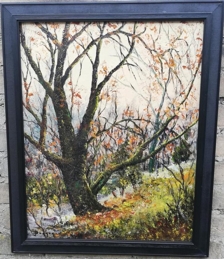 *Joop Burger, Expres. Bosgezicht. Olie/paneel. 47/57 cm., Antiek en Kunst, Kunst | Schilderijen | Klassiek, Ophalen