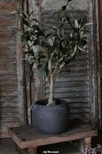 Grijze bloempot met oren, sobere pot, kruik, Huis en Inrichting, Woonaccessoires | Overige, Www.jufbrocante.nl, Www.jufbrocante.nl