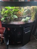 Aquaruim, Dieren en Toebehoren, Ophalen of Verzenden, Zo goed als nieuw, Leeg aquarium