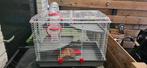 Hamsterhok gebruikt. Gratis op te halen, Dieren en Toebehoren, Knaagdieren en Konijnen | Hokken en Kooien, Gebruikt, Minder dan 75 cm