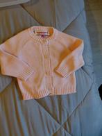 Vingino Roze Vestje Maat 56, Kinderen en Baby's, Babykleding | Maat 56, Ophalen of Verzenden, Zo goed als nieuw, Vingino, Truitje of Vestje