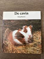 De cavia - Elvig Hansen nieuwstaat, Boeken, Ophalen of Verzenden, Zo goed als nieuw