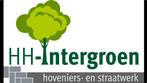 Stratenmaker en hovenier, Diensten en Vakmensen, Tuinmannen en Stratenmakers, Tuinonderhoud of Snoeiwerk