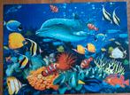 3D Legpuzzel Clementoni Dolphin Reef 1000 stukjes, Ophalen of Verzenden, Meer dan 50 stukjes, Zo goed als nieuw, 6 jaar of ouder