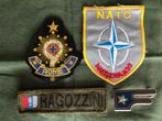 Emblemen Italiaanse Krijgsmacht, Verzamelen, Embleem of Badge, Overige gebieden, Ophalen of Verzenden, Landmacht