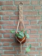 Macramé plantenhanger, Ophalen of Verzenden, Nieuw