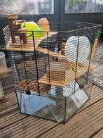 Hamsterkooi inclusief toebehoren, Dieren en Toebehoren, Gebruikt, Ophalen, Hamster