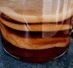 Scoby's voor Kombucha, Diversen, Ophalen