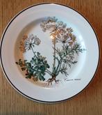 Vintage Villeroy & Boch Botanica bordje, Huis en Inrichting, Keuken | Servies, Ophalen of Verzenden, Zo goed als nieuw, Bord(en)