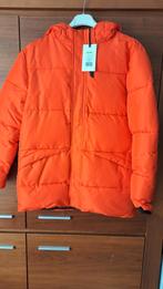 Winter jas maat 170/176, Kinderen en Baby's, Kinderkleding | Maat 176, Ophalen, Nieuw, Shoeby, Jongen