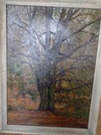Schilderij Boom in het Bos mooie en goed geschilderd, Ophalen of Verzenden