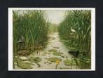 Ansichtkaart Schoolplaat Het Naardermeer, Lepelaar Meerkoe., Ophalen of Verzenden, 1980 tot heden, Ongelopen, Waterdier