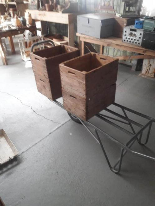 Bollenkisten gaasbakken zeef Antha krat kisten, Huis en Inrichting, Woonaccessoires | Kisten, Gebruikt, Minder dan 50 cm, Minder dan 50 cm