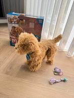 Hond TWV €250 Fuzzy Friends Moji Labradoodle Speelhond, Ophalen of Verzenden, Zo goed als nieuw, Overige typen, Met geluid