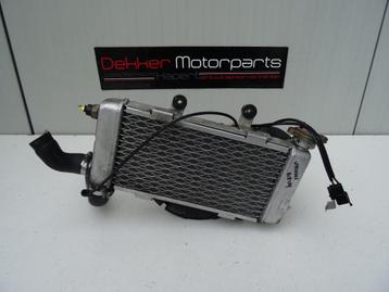 Rechter Radiateur + Koelvin Honda VTR1000F Firestorm 1997 > beschikbaar voor biedingen