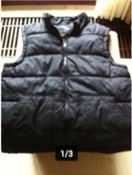 Dames Bodiwarmer Cedar Wood state zwart maat L, Kleding | Dames, Zwart, Maat 42/44 (L), Ophalen of Verzenden, Zo goed als nieuw