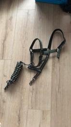 QHP halster maat pony, Dieren en Toebehoren, Paarden en Pony's | Hoofdstellen en Tuigage, Ophalen of Verzenden, Zo goed als nieuw