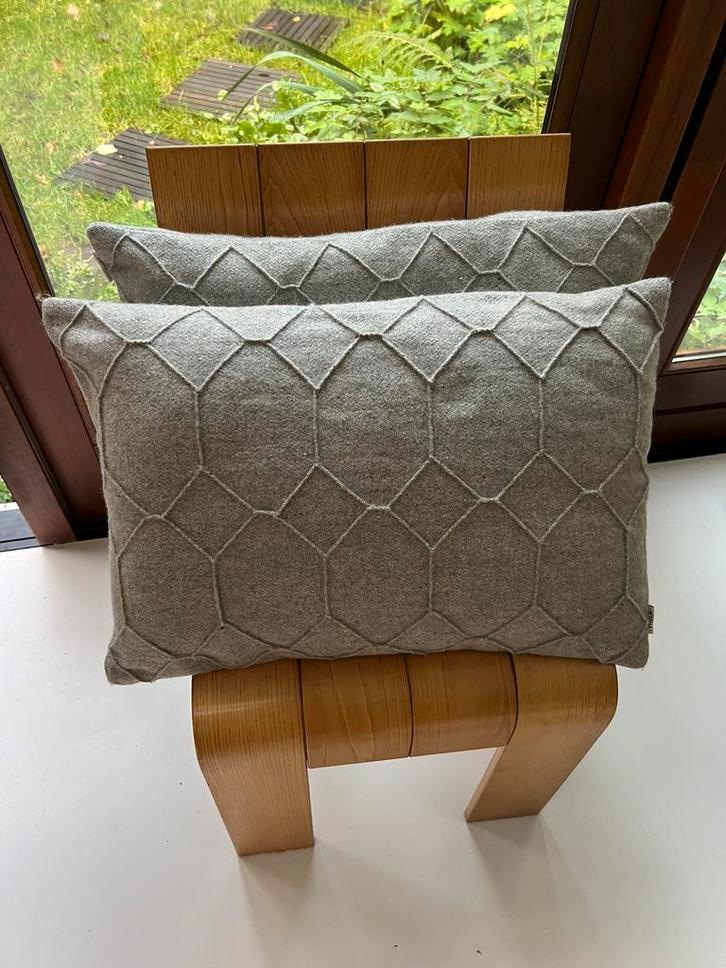 Twee mooie kussens van Hinck, Huis en Inrichting, Woonaccessoires | Kussens, Gebruikt, Grijs, Vierkant, Verzenden