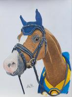 Wilt u een tekening laten maken?, Ophalen of Verzenden