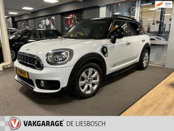 Mini Mini Countryman 2.0 Cooper S E ALL4 Chili / Airco / PDC beschikbaar voor biedingen