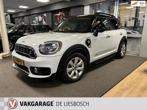 Mini Mini Countryman 2.0 Cooper S E ALL4 Chili / Airco / PDC, Auto's, Mini, Bedrijf, Te koop, Countryman, 4x4, ABS, Airbags, Airconditioning