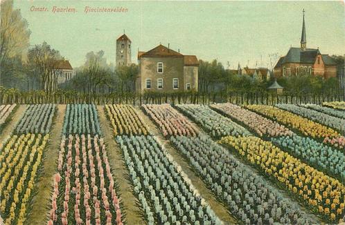 (701-121-001) Haarlem Hiacintenvelden, Verzamelen, Ansichtkaarten | Nederland, Noord-Holland, Verzenden