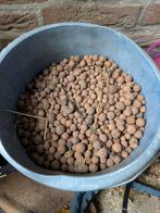 Hydrokorrels GRATIS, Ophalen