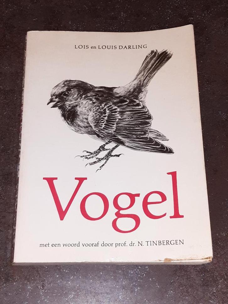 Vogel Louis Darling, Boeken, Dieren en Huisdieren, Gelezen, Katten, Ophalen of Verzenden
