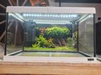 Mooi aquarium 60 liter te koop, Dieren en Toebehoren, Vissen | Aquaria en Toebehoren, Ophalen, Zo goed als nieuw, Leeg aquarium