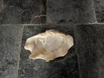 Zeer grote zware schelp,doopvont., Ophalen of Verzenden, Schelp(en)