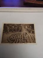 VENRAY  PROCESIE. ST.SERVATIUS GESTICHT, Ophalen of Verzenden, Voor 1920, Noord-Brabant