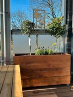 Zware Plantenbakken opslag bak vanaf €60 >25 st., Ophalen, Nieuw, Hout